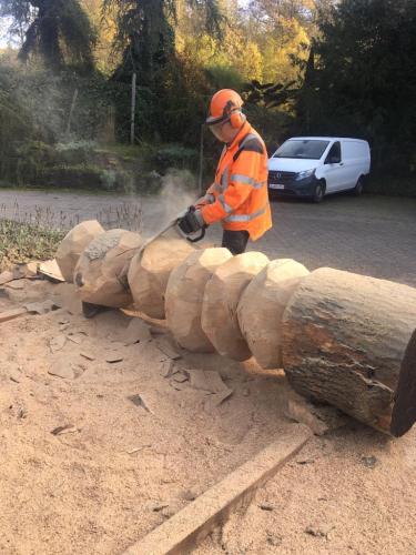 PHOTO-2022-11-14-14-42-11